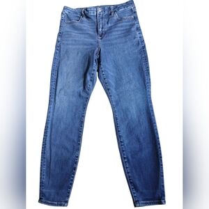 American Eagle Outfitters Classic‎ Blue Skinny Jeans Sz 10